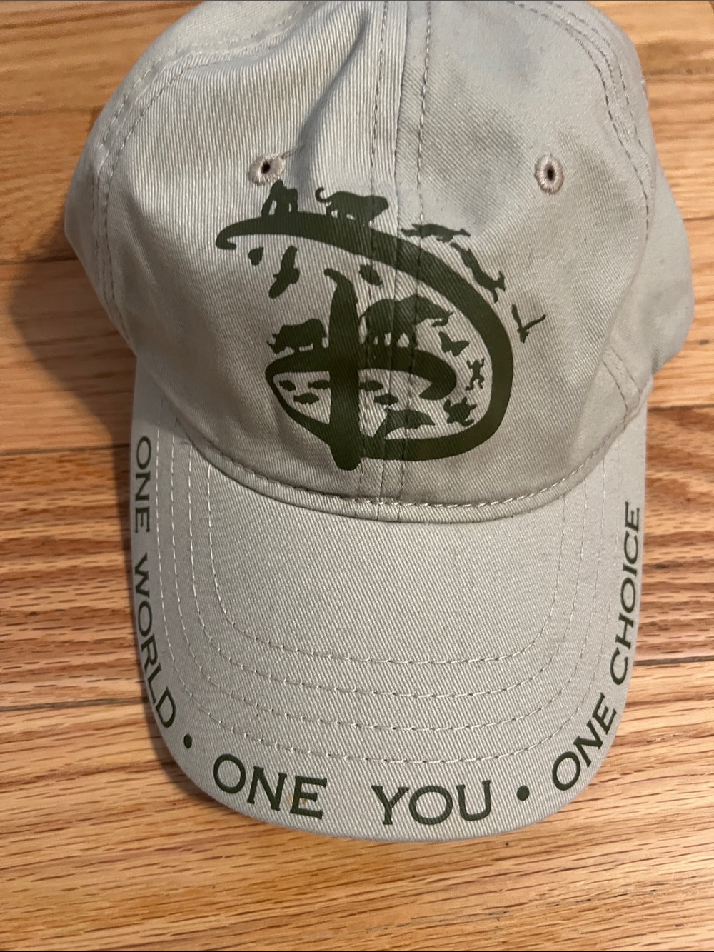 Disney Wildlife Logo Baseball Cap - "One World One You One Choice"